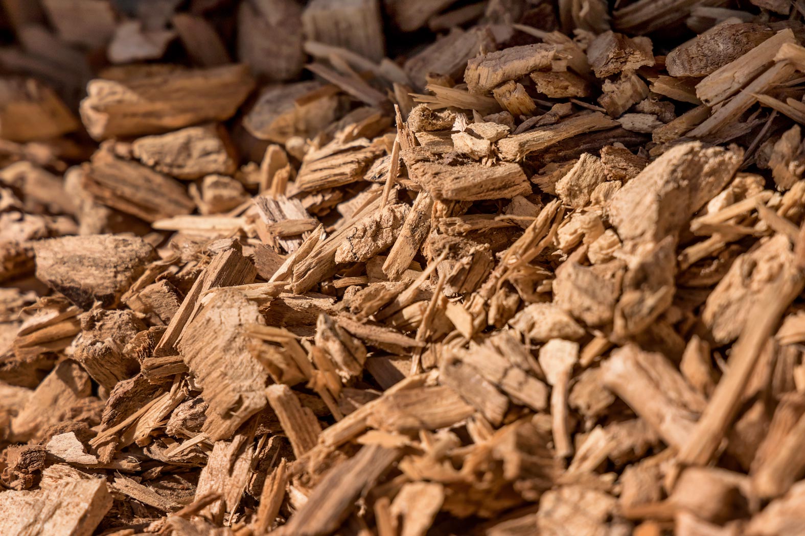 Hirschmann-Holz Gnas Steiermark Rundholz verkaufen Schnittholz kaufen Kantholz Brennholz Hackschnitzel Furniere Lohntrocknung Transporte Holzschlägerungen