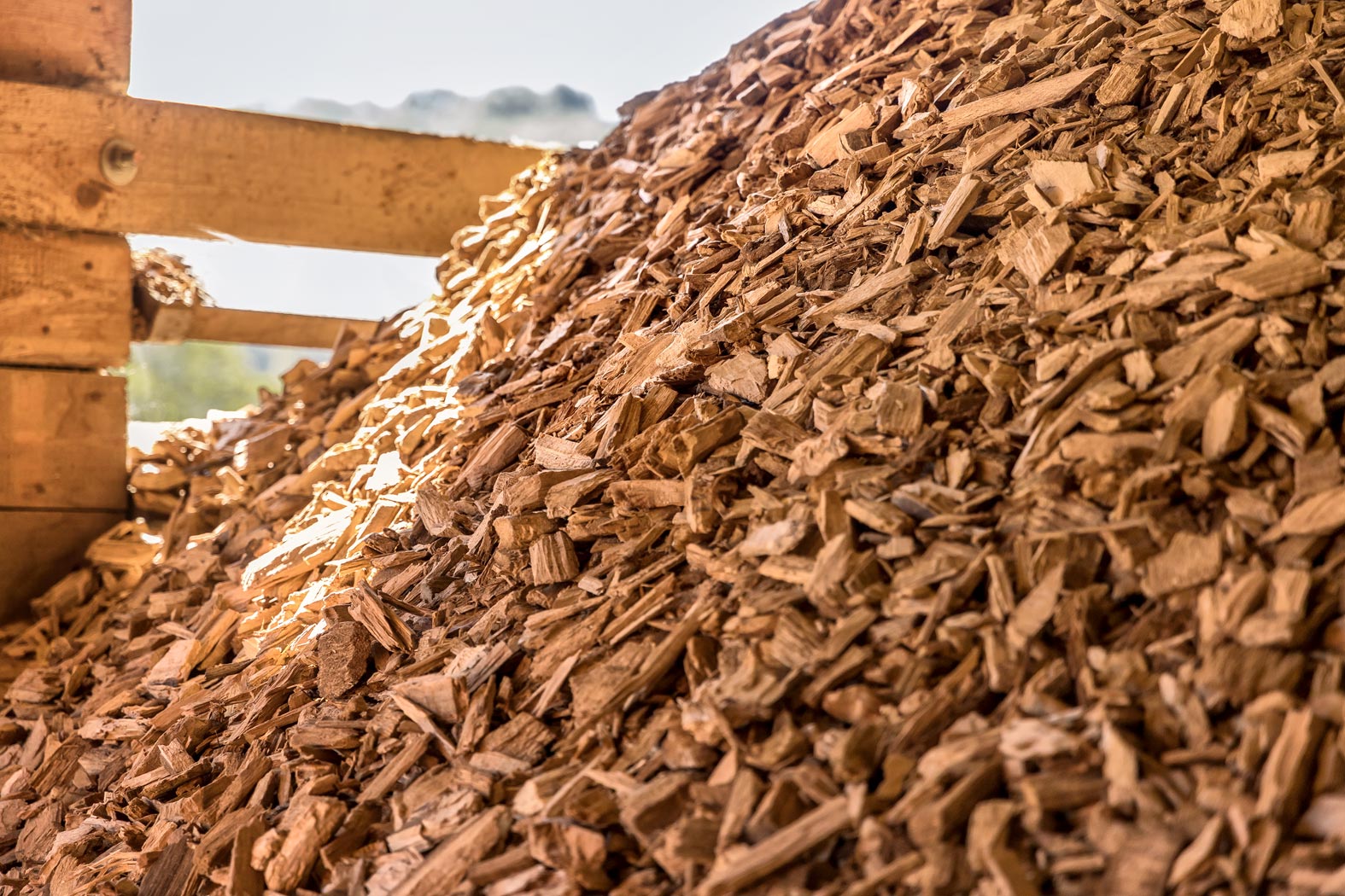 Hirschmann-Holz Gnas Steiermark Rundholz verkaufen Schnittholz kaufen Kantholz Brennholz Hackschnitzel Furniere Lohntrocknung Transporte Holzschlägerungen