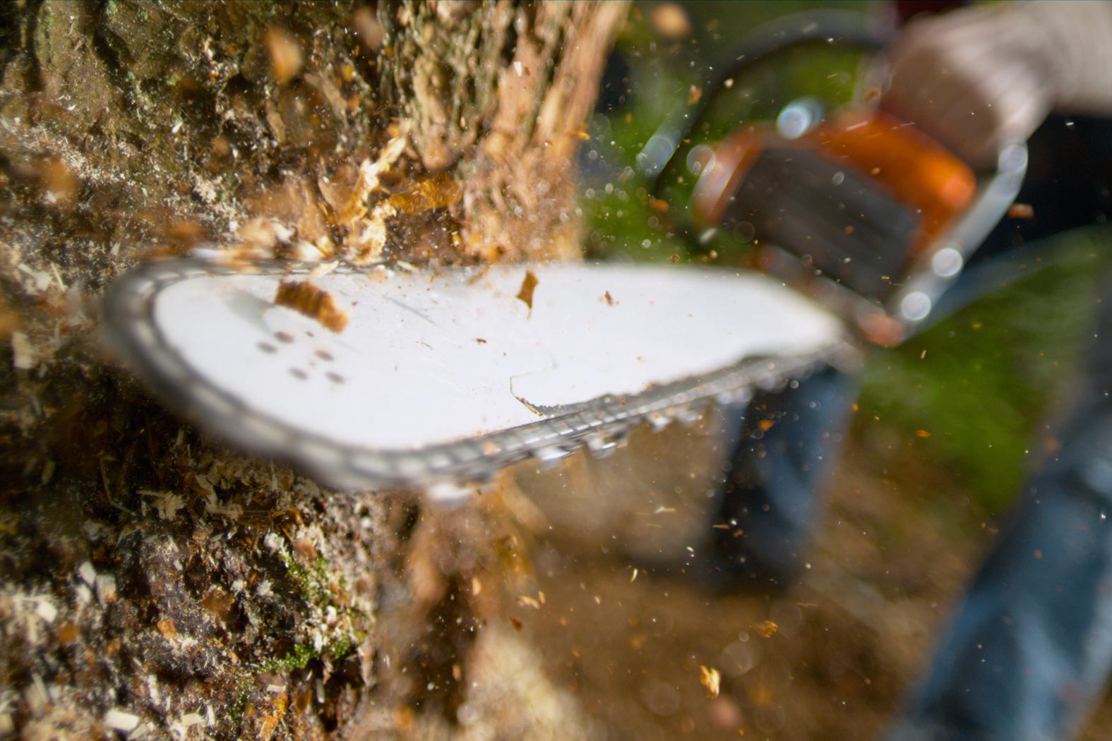 Hirschmann-Holz Gnas Steiermark Rundholz verkaufen Schnittholz kaufen Kantholz Brennholz Hackschnitzel Furniere Lohntrocknung Transporte Holzschlägerungen