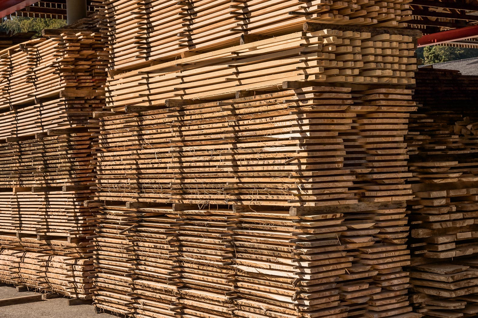 Hirschmann-Holz Gnas Steiermark Rundholz verkaufen Schnittholz kaufen Kantholz Brennholz Hackschnitzel Furniere Lohntrocknung Transporte Holzschlägerungen