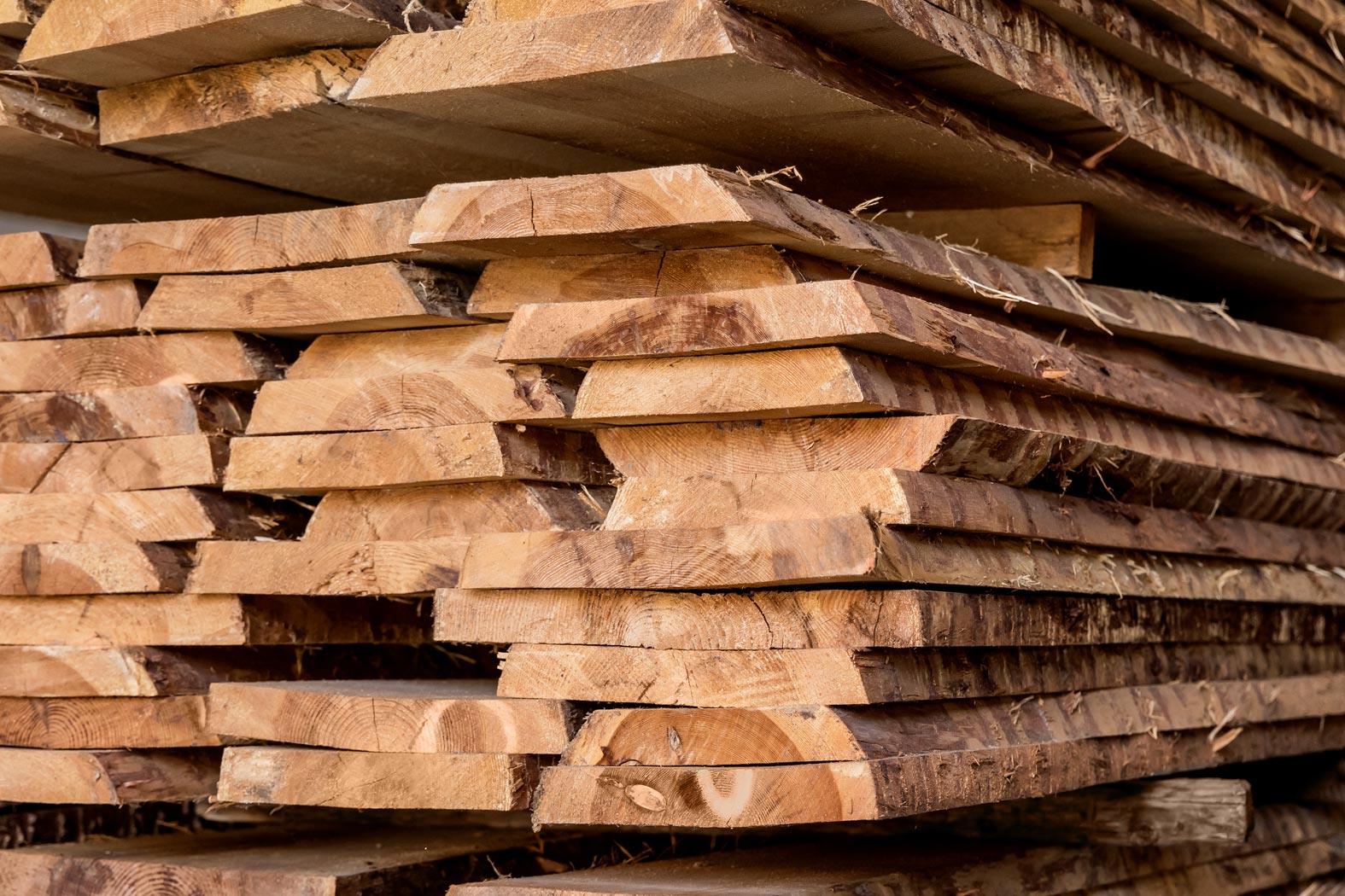 Hirschmann-Holz Gnas Steiermark Rundholz verkaufen Schnittholz kaufen Kantholz Brennholz Hackschnitzel Furniere Lohntrocknung Transporte Holzschlägerungen